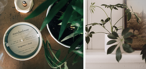 SCENT STORIES: BERGAMOT + BASIL
