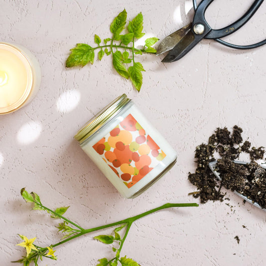 What you need to know: Tomato Leaf drops on 3/2!