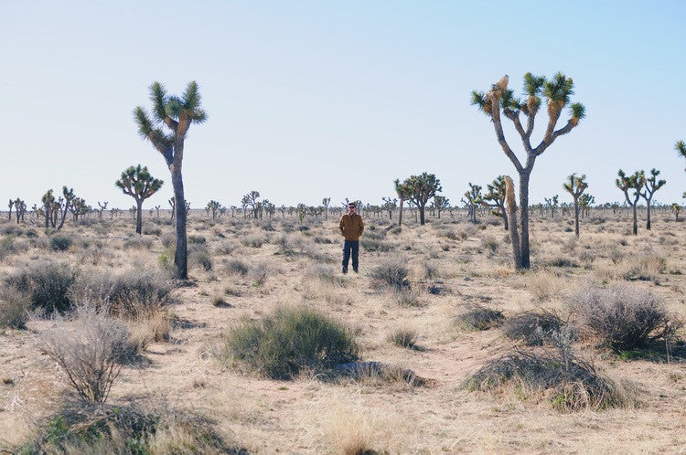AN ESCAPE TO JOSHUA TREE